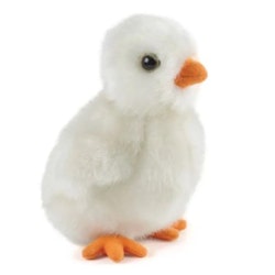 Living nature- White Fluffy Chick/gosedjur