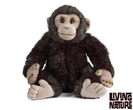 Living nature- Chimp/ gosedjur