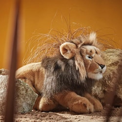 Living nature- Male Lion Large/ gosedjur