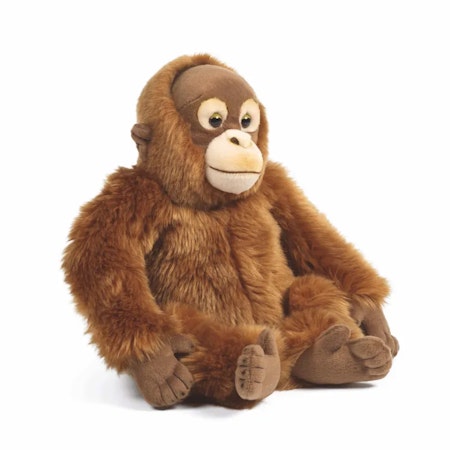 Living nature- Orangutang/ gosedjur