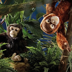 Living nature- Orangutang/ gosedjur