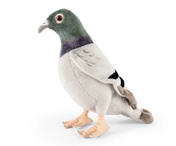 Living nature - Pigeon/gosedjur