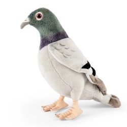 Living nature - Pigeon/gosedjur