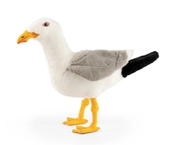 Living nature- Herring Gull/gosedjur