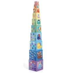 Djeco- 10 Rainbow blocks