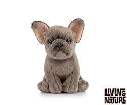 Living nature-  French/ Fransk Bulldog valp Puppy/ gosedjur