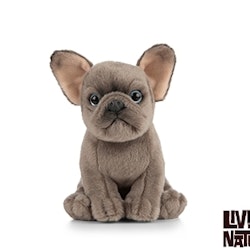 Living nature-  French/ Fransk Bulldog valp Puppy/ gosedjur