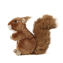 Living nature- Squirrel Large /gosedjur