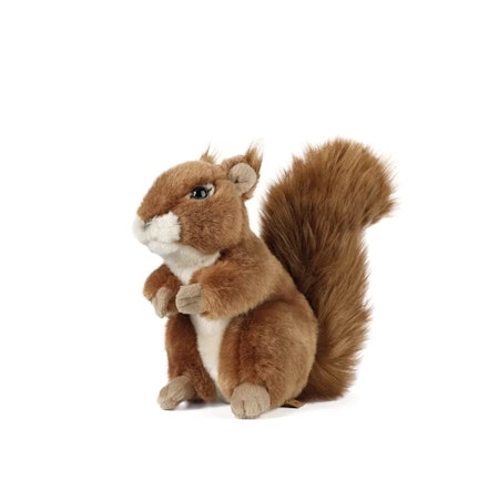 Living nature- Squirrel Large /gosedjur
