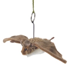 Living nature- Bat Small /gosedjur