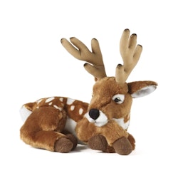 Living nature- Deer with Antlers/gosedjur