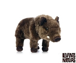 Living nature- Wild Boar /gosedjur