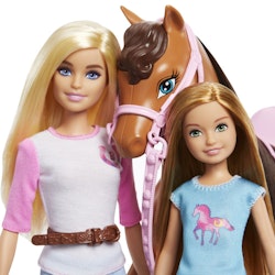 Barbie®- Barbie Dolls and Horse Value