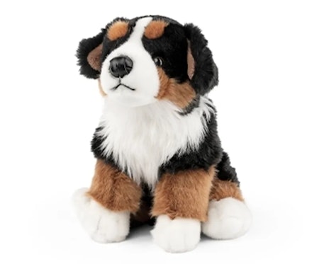 Living Nature- Bernese Mountain Dog/ gosedjur