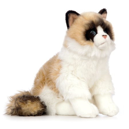 Living nature- Ragdoll Cat/gosedjur