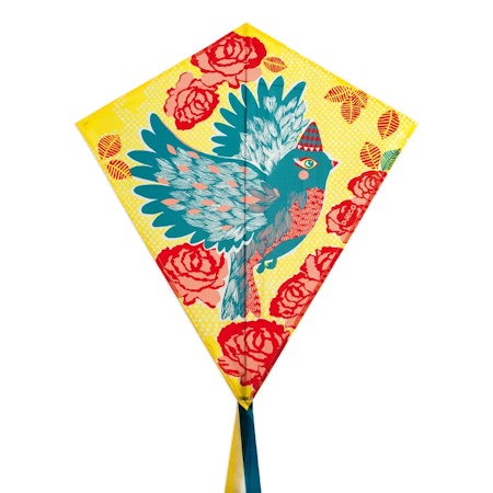 Djeco- Kite, Bird