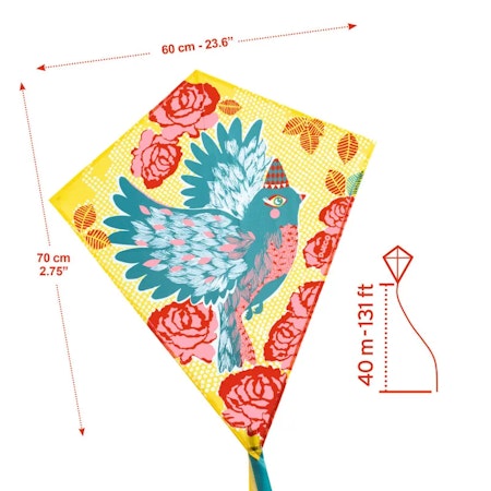 Djeco- Kite, Bird