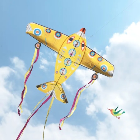 Djeco- Kite: Maxi Plane