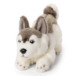 Keycraft- Hund Husky Playful Pup/ Gosedjur