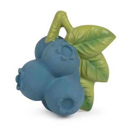 OLI & CAROL- Jerry the Blueberry
