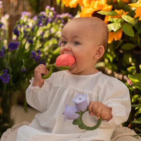 OLI & CAROL- Theo the Tulip