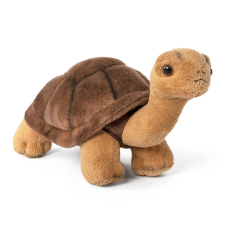 Living Nature- Tortoise