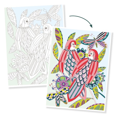 Djeco- Colouring Gallery - Birds / Målar alt klisterbok. Pyssla.