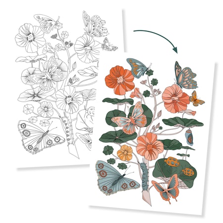 Djeco- Colouring Gallery - Naturalist/ Målar alt klisterbok. Pyssla.