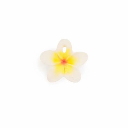 OLI & CAROL-Hawaii the Flower