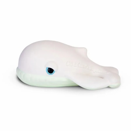 OLI & CAROL- Walter the Whale OLI&CAROL X BIGSTUFFED