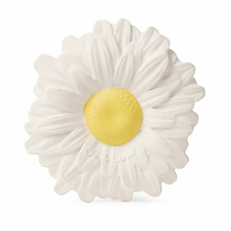OLI & CAROL- Margarita the Daisy
