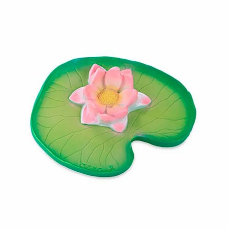 OLI & CAROL- Water Lily