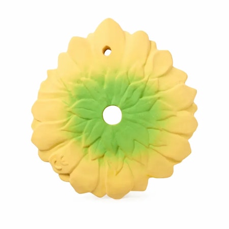 OLI & CAROL- Sun the Sunflower