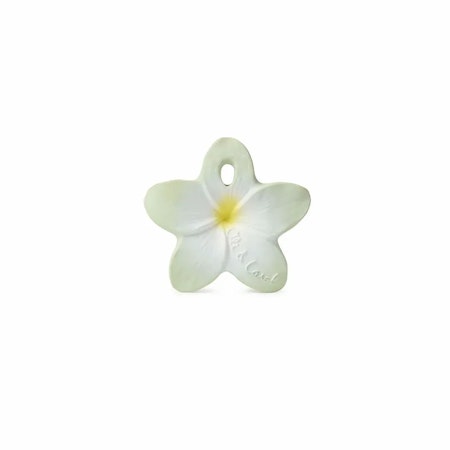 OLI & CAROL- Bali the Flower
