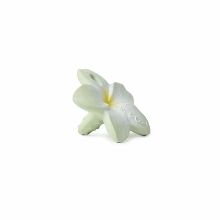 OLI & CAROL- Bali the Flower