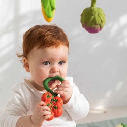 OLI & CAROL- Tomato Rattle Toy