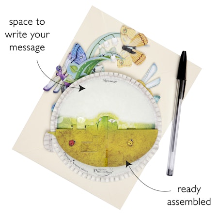 Santoro- Pirouettes Card - Butterfly And Dragonfly