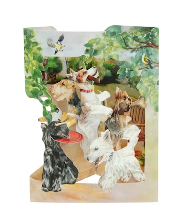 Santoro- Swing Cards - Terriers Playing