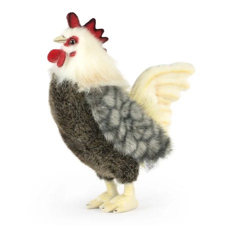 Living nature- Bantam Cockerel/ gosedjur