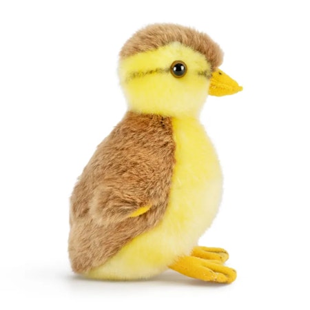 Living nature- Mallard Duckling/ gosedjur