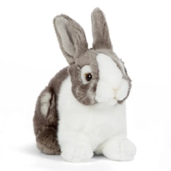 Living nature- Grey Pet Rabbit/ gosedjur