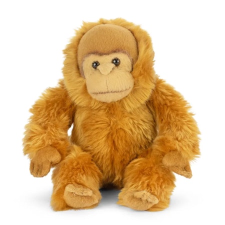 Living nature- Baby Orangutan/ gosedjur