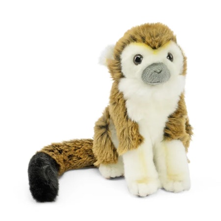 Living nature- Sitting Squirrel Monkey / gosedjur