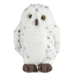 Living nature- Snowy Owl Large/gosedjur