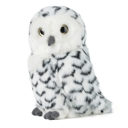 Living nature- Snowy Owl with Turning Head/gosedjur