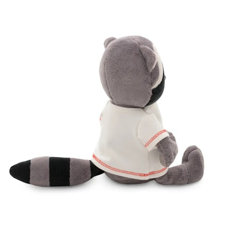 Orange Toys- Denny the Raccoon