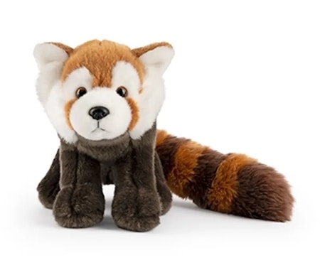 Living nature- Red Panda/ gosedjur