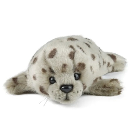 Living Nature- Common Seal Pup