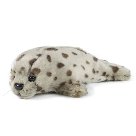 Living Nature- Common Seal Pup