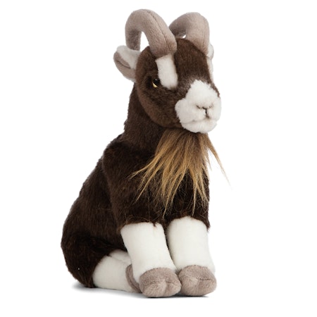Living nature- Brown Goat Sitting/ gosedjur